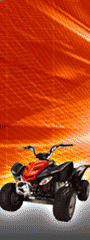 ems_90x240a.gif